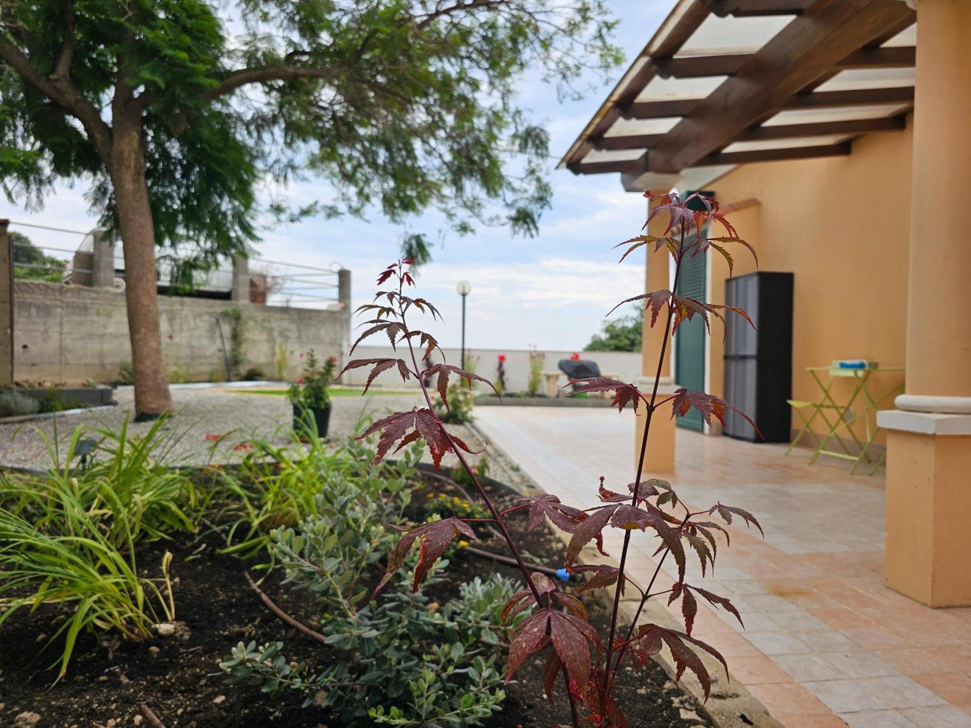 Villa Avocado à Vintimille Extérieur photo